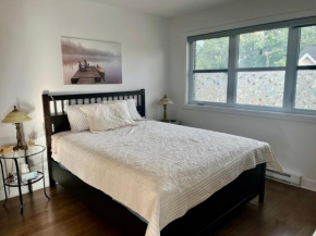 Luna's Room